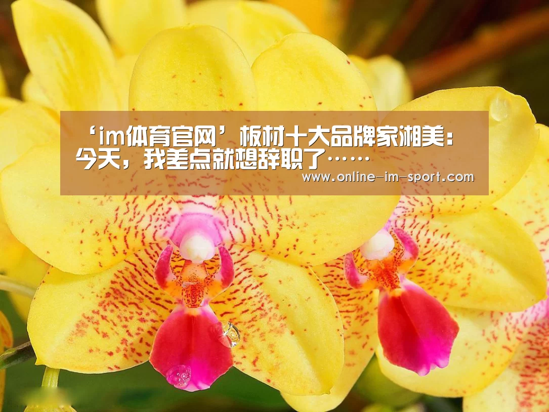 ‘im体育官网’板材十大品牌家湘美:今天,我差点就想辞职了……(图2) im体育app