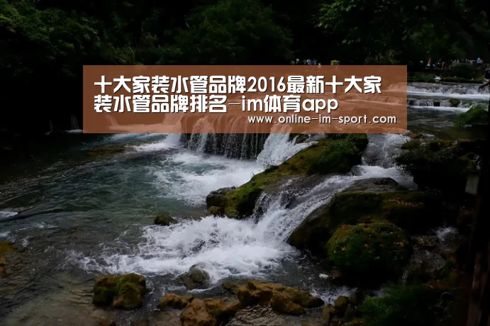 im体育app
