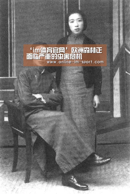 ‘im体育官网’欧洲森林正面临严重的虫害危机