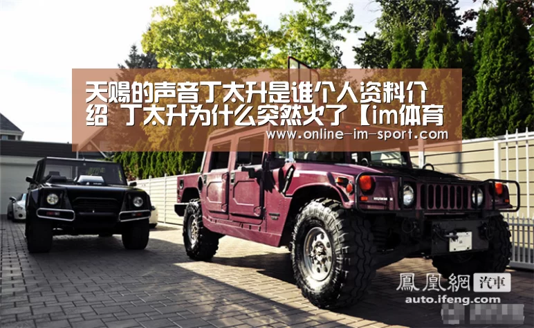 天赐的声音丁太升是谁个人资料介绍 丁太升为什么突然火了【im体育下载】