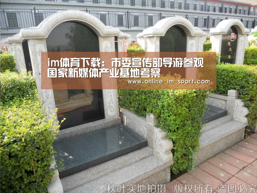 im体育