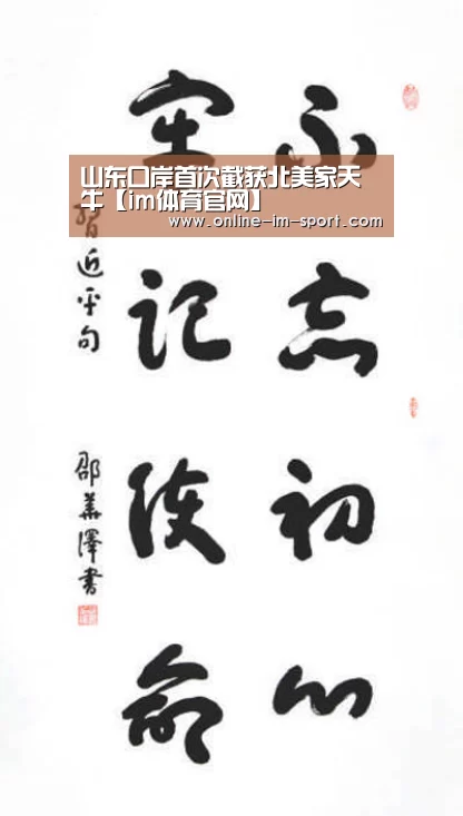 im体育app